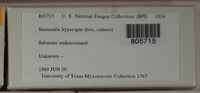 Image Associated With the Occurence